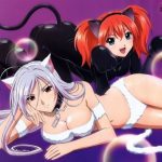 Rosario to Vampire Capu2 BD Subtitle Indonesia Batch