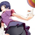 Hanamonogatari BD Subtitle Indonesia Batch