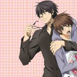Sekaiichi Hatsukoi Subtitle Indonesia Batch