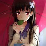 Sankarea BD Subtitle Indonesia Batch