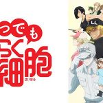 Hataraku Saibou: Kaze Shoukougun Subtitle Indonesia