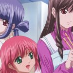 Tokimeki Memorial: Only Love Subtitle Indonesia Batch