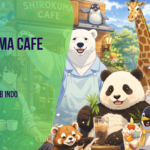 Shirokuma Cafe BD Batch Sub Indo